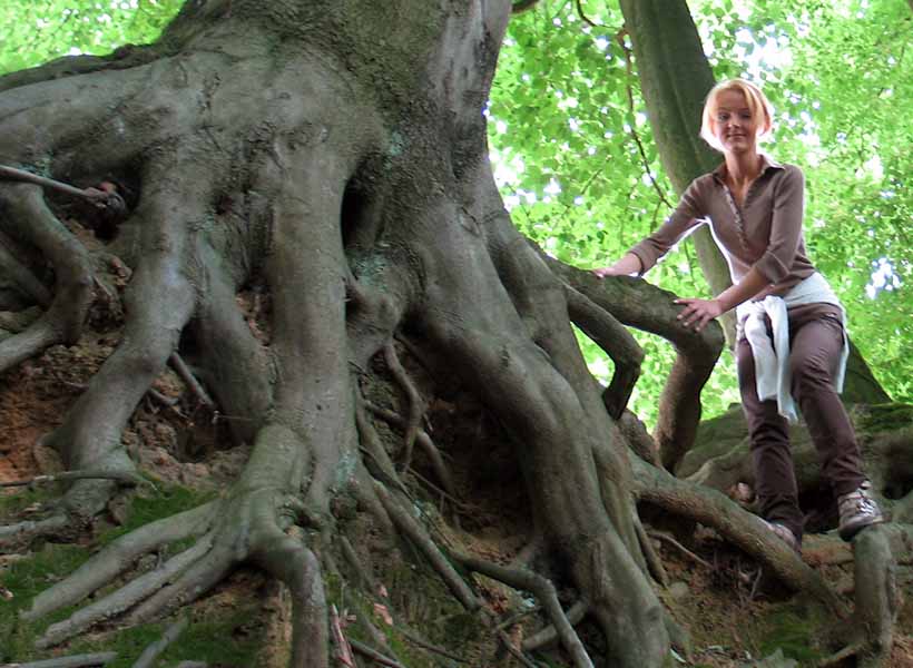 Wandern auf dem Hohe Mark Steig