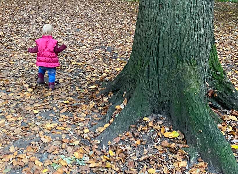 Spaziergang im Herbstwald in der Hohen Mark