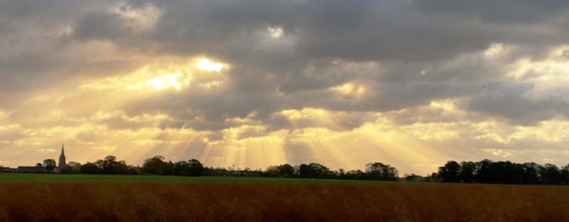 Lichtstimmung im Naturpark Hohe Mark